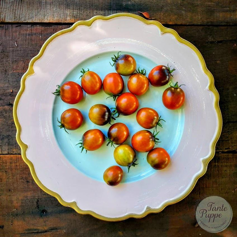 Tomate Cherry chocolate