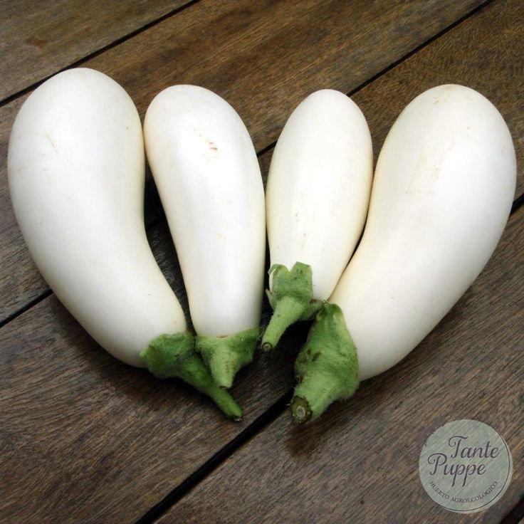 Berenjena blanca