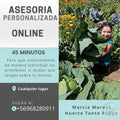 Asesoría Online Personalizada