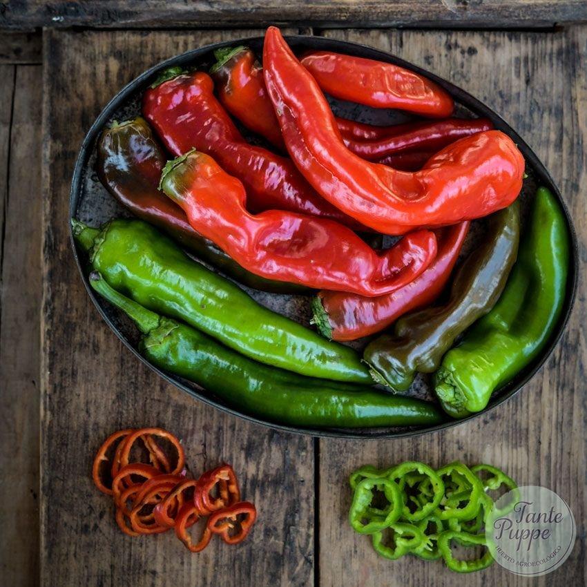 Pimiento Txorixero