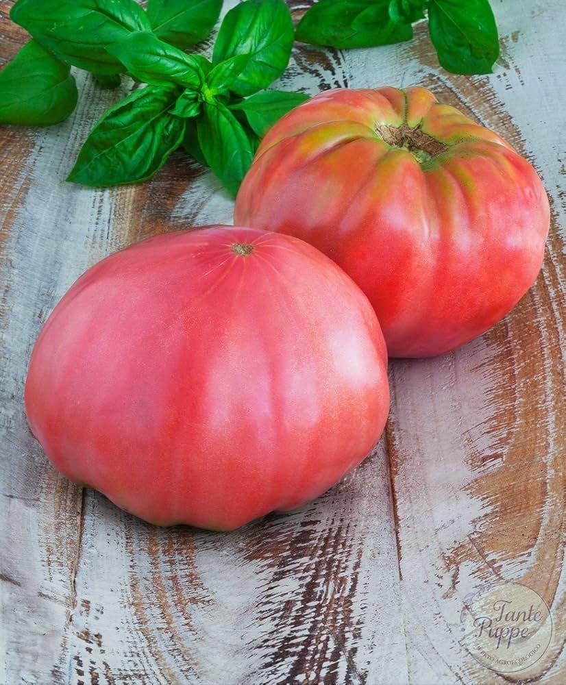 Tomate Brandywine.
