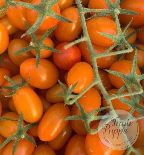Tomate Cherry naranjo alemán