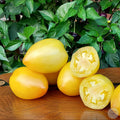 Tomate Teton de Venus Blanche