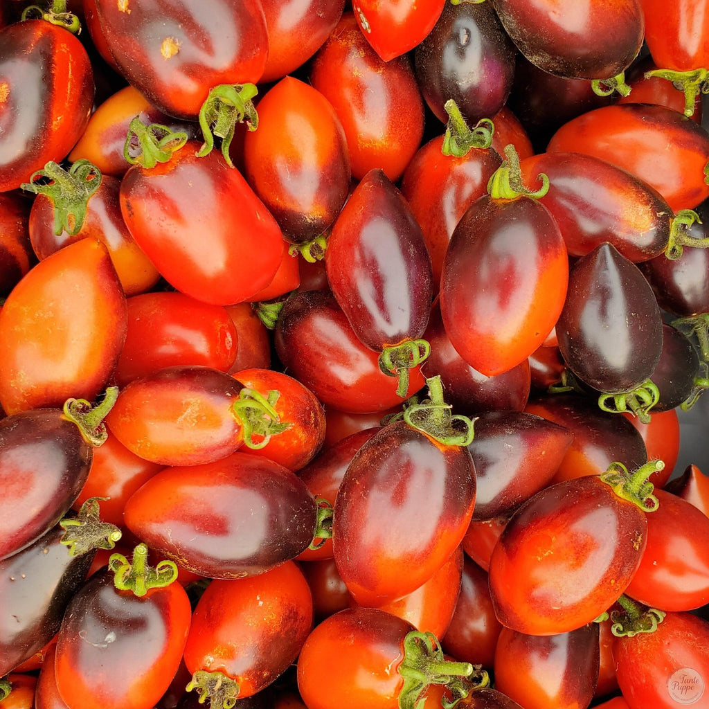 Tomate Blue marzano