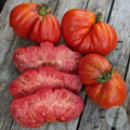 Tomate Iceberg
