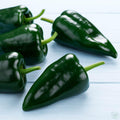 Pimiento «Chile» Poblano.
