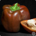 Pimiento sweet chocolate