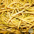 Poroto Top notch golden