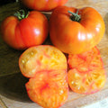 Tomate Wherokowhai