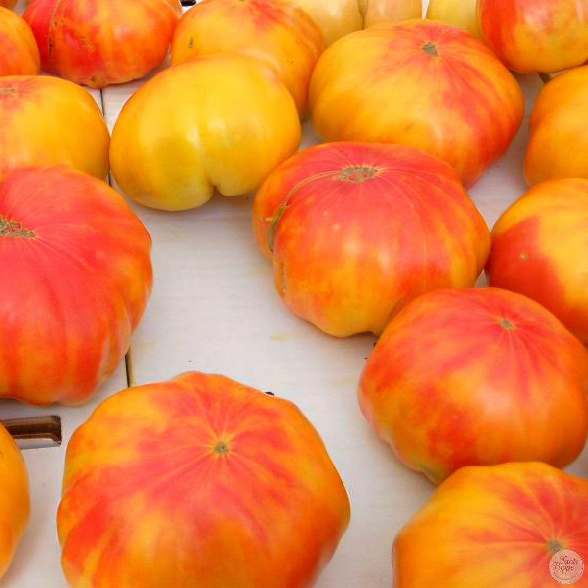 Tomate Old German