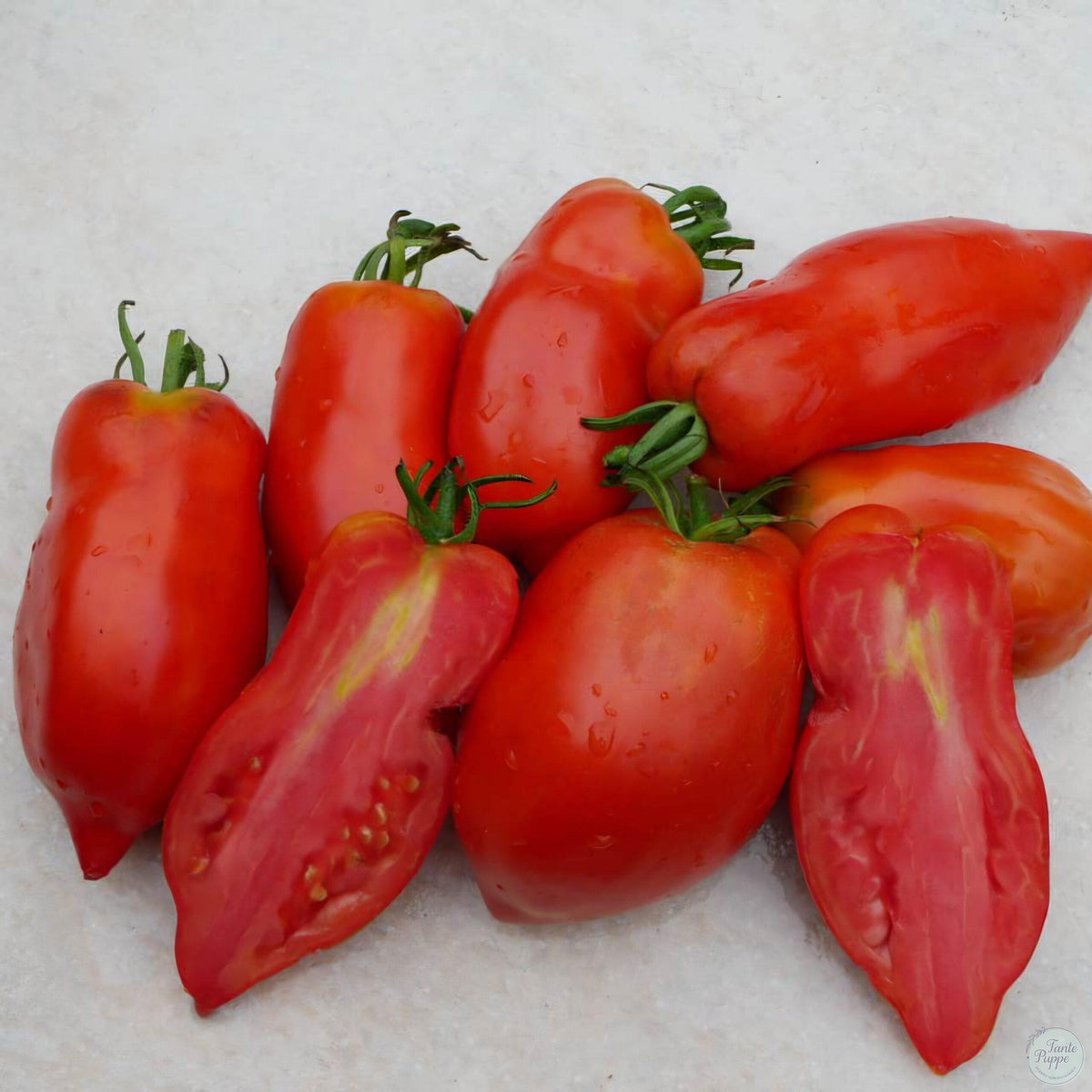 Tomate Abbatistta Paste