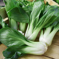 Pak choi – Col China