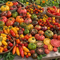 Colección «Full tomates»