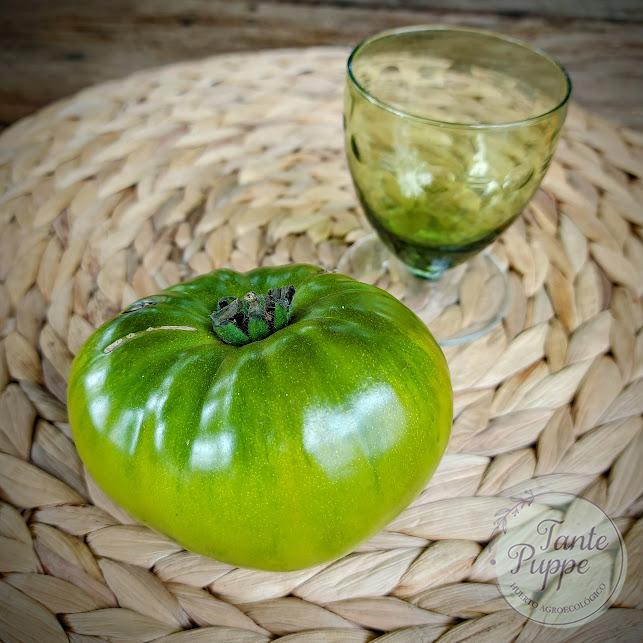 Tomate Aunt Ruby’s German