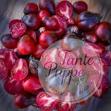 Tomate Blue Pear