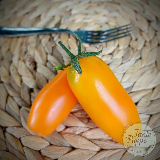 Tomate Banana Orange
