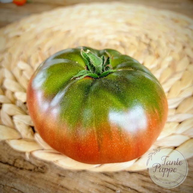Tomate Black Cherokee
