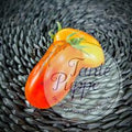 Tomate Bola de toro