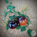 Tomate Cherry negro