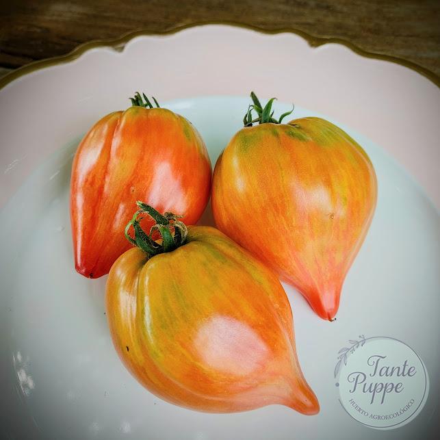 Tomate Crushed Heart