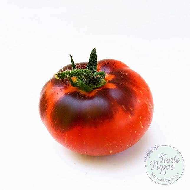 Tomate Dark Galaxy