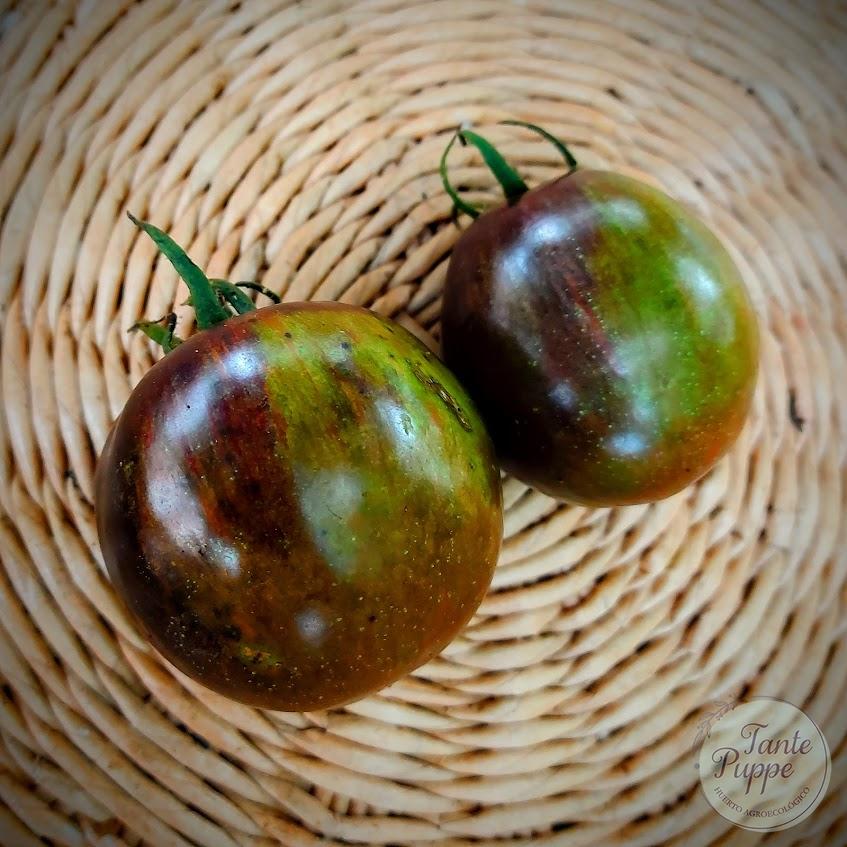 Tomate Eclipse cósmico