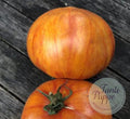 Tomate Fleur de Reagir Rainbow Jazz Heart
