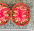 Tomate Irish Stripes
