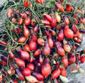 Tomate Marchenfee