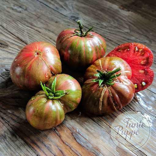 Tomate Metallica Dwarf