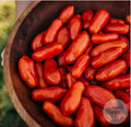 Tomate Opalka