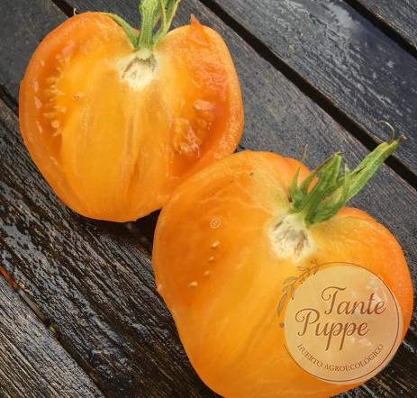 Tomate Pastel Orange Heart