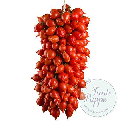 Tomate Piennolo del Vesuvio Rojo (tomate de Guarda)