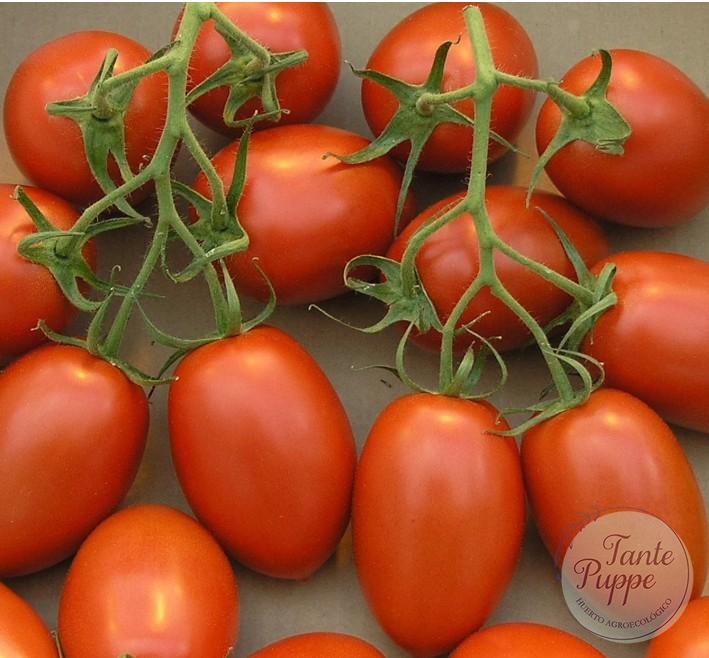 Tomate Pomodoro Passata Italiana.