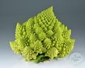 Brócoli Romanesco