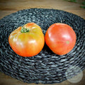 Tomate Rosado chilote