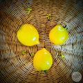 Tomate Citrine amarillo