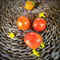 Tomate Orange Roussollini