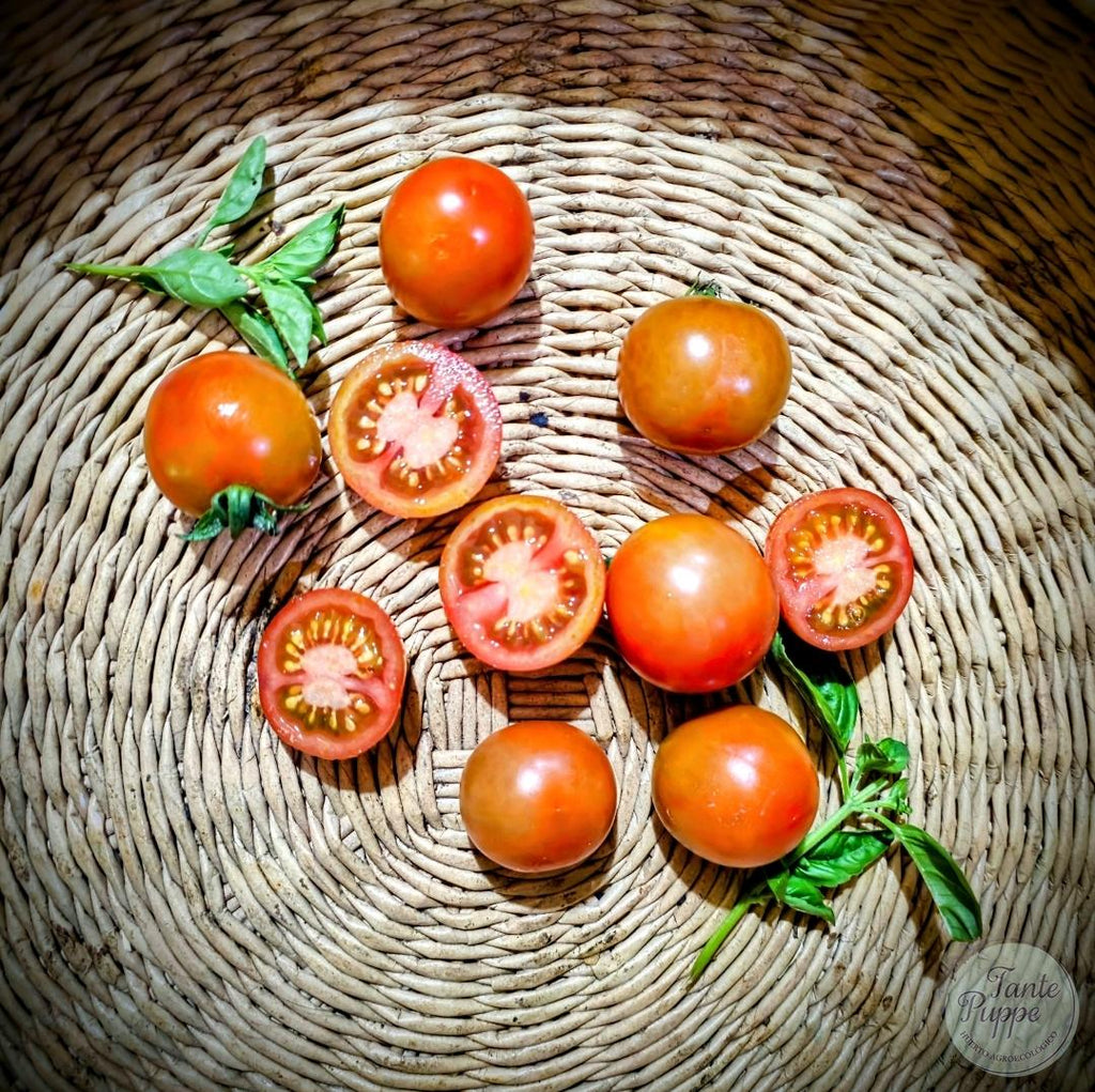 Tomate Stupice