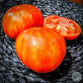 Tomate Red Solar Flare