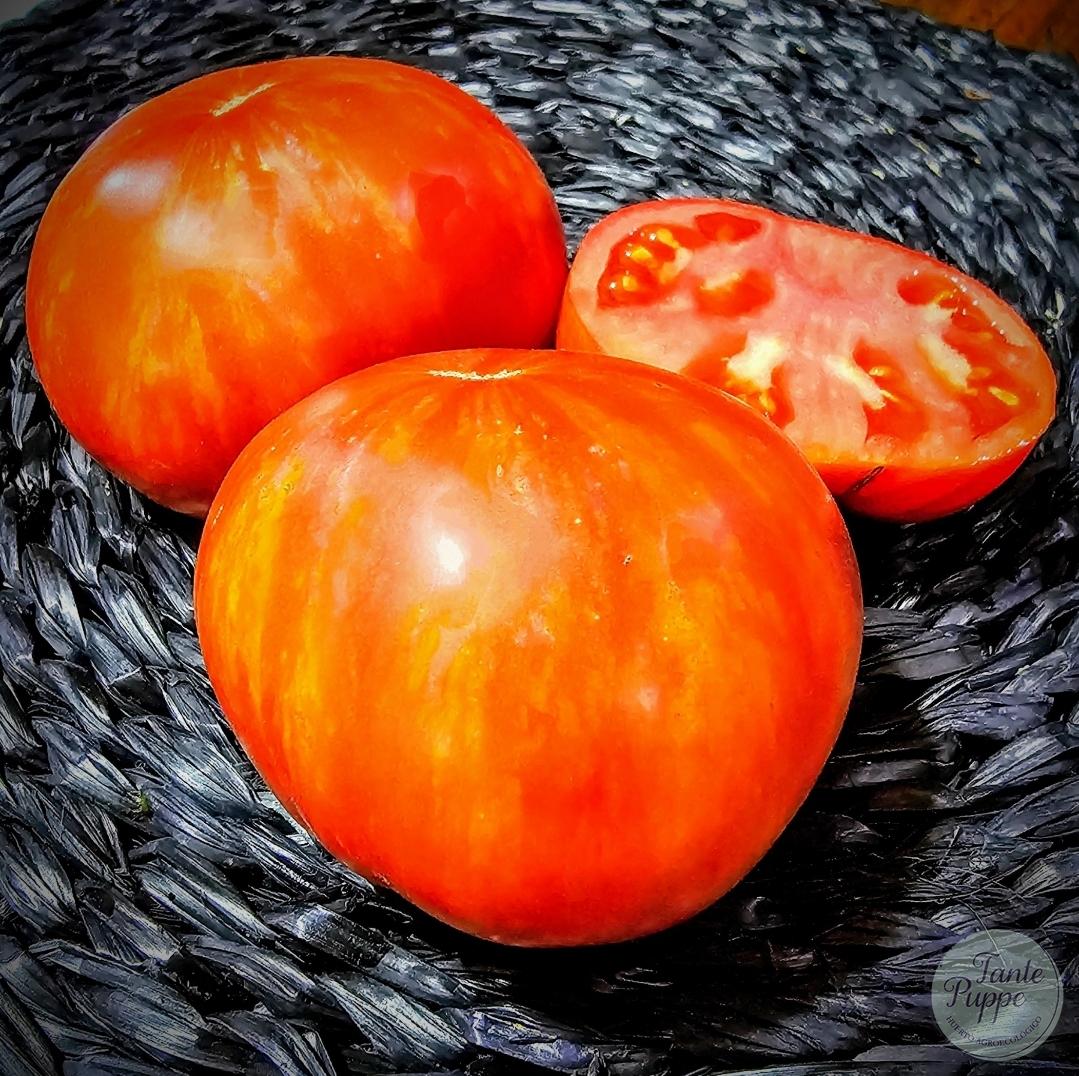 Tomate Red Solar Flare