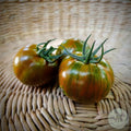 Tomate Spike
