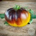 Tomate Sart Roloise