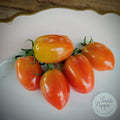 Tomate Sweet Candy