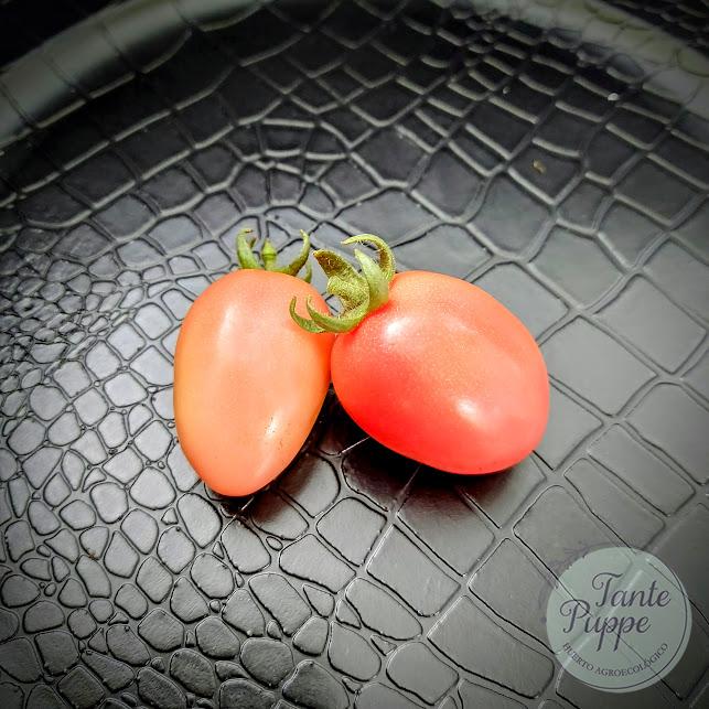 Tomate Thai Pink Egg