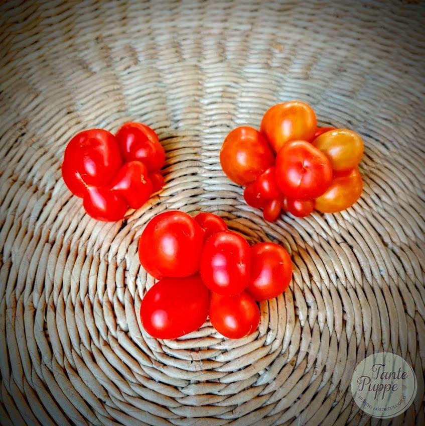 Tomate Reise – Tomate de viaje