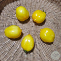 Tomate Yellow Plum