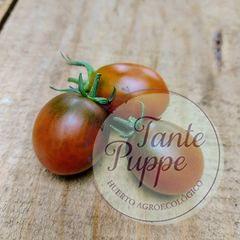 Tomate Black plum