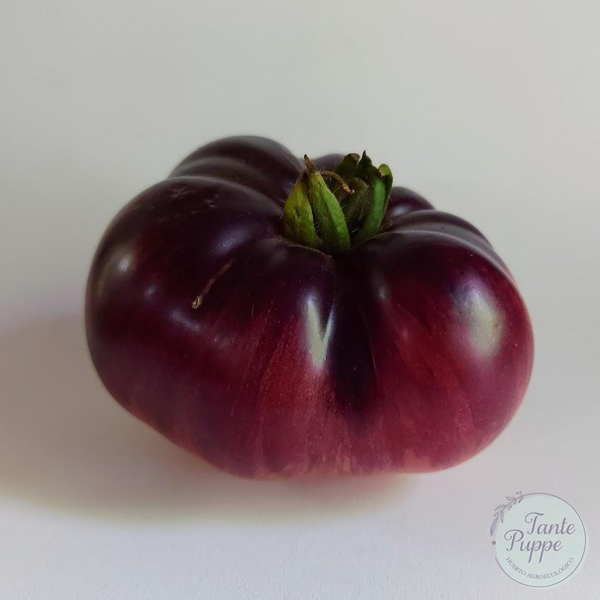 Tomate Blue Beauty