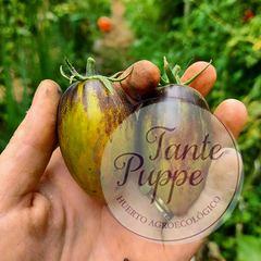 Tomate Brad’s Atomic Grape